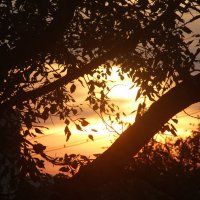 Палитра уходящего лета :: олег свирский 