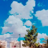 13  ОПЕН (396) :: OPEN WAYS ALL