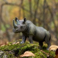 *** :: Владимир 