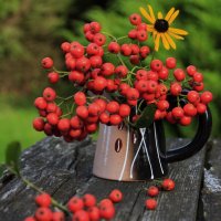 Сентябрьское настроение .. :: Татьян@ Ивановна