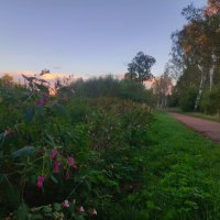 Рассвет :: Сапсан 