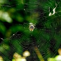 Из сегодняшней съёмки 12 :: Александр Прокудин