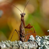 Из сегодняшней съёмки 15 :: Александр Прокудин