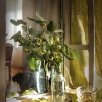 Ветка дикой яблони :: Bosanat 