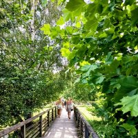 Прогулка по зоопарку :: Veera V Прогулка по зоопарку :: Veera V