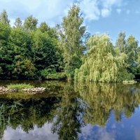 На пруду :: Veera V