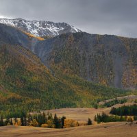 * :: Александр Иванов * :: Александр Иванов