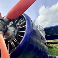 « … А девушки — потом!» ;) :: Арина Невская