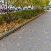 Время доставать метлу :: Валерий Иванович