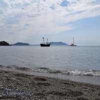 Природа Крыма :: Amazing Cosmea