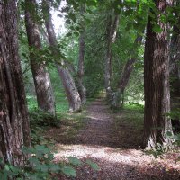В парке :: Александр Ильчевский В парке :: Александр Ильчевский