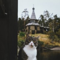 Прихожанин. :: Егор Бугримов