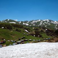 Гомис Мта. Гурия, Грузия. :: Дина Евсеева