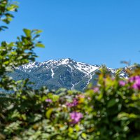 Гомис Мта. Гурия, Грузия. :: Дина Евсеева