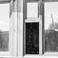 Окно с паутиной :: Владимир Иванович