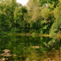 Радужный пруд :: Наталья Лакомова Радужный пруд :: Наталья Лакомова