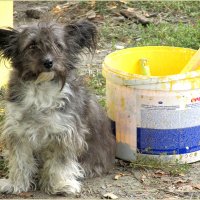 . :: Leonid Rutov . :: Leonid Rutov