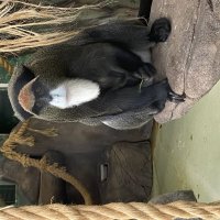 Казань. Зооботсад :: Андрей 