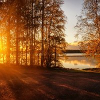 рассвет...... :: Ольга Cоломатина