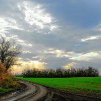 Весна. :: Владимир 