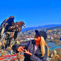 ДЕВУШКА   И   БЕРКУТ :: Анатолий Малобродский