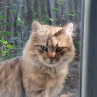 Доброе утро :) :: Наталья 