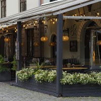 Фонарики :: Регина 