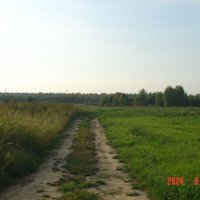 дорога :: fogmeadowww m