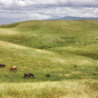 Горы :: Надежда 