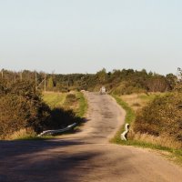 Дорога к д.Выскодь :: Артем 