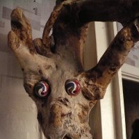 Бля-а-а ... Кто к нам пришёл ?!! ... :: Валерий Кокорев