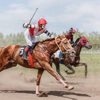 Скачки :: SanSan Скачки :: SanSan