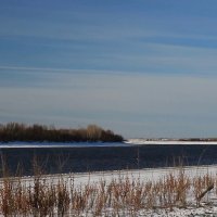 Первозимье на Юганской Оби. :: Владимир 