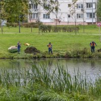 Вот откуда в магазинах "морская" капуста :) :: Валерий Иванович