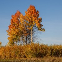 корабль осени :: Виктор Ковчин