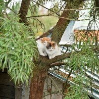 * :: Вадим * :: Вадим