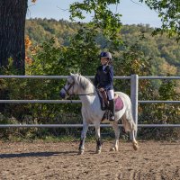 * :: Александр Лисовский * :: Александр Лисовский