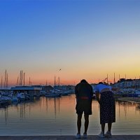 Наблюдение за морскими рыбками :: Alexandеr P