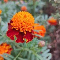 ,,, :: Сергей Тимоновский