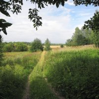 На краю парка :: Александр Ильчевский 