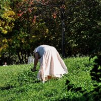 Кормление черепах - ответственное дело ! :: Анатолий Колосов