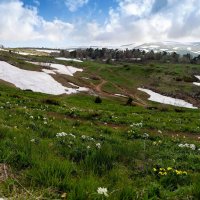 Плато Лаго-Наки летом. Адыгея. :: Дина Евсеева