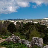 Плато Лаго-Наки летом. Адыгея. :: Дина Евсеева