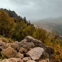 Плато Лаго-Наки осенью . Адыгея. :: Дина Евсеева