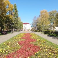 Краски осени :: Виктор 