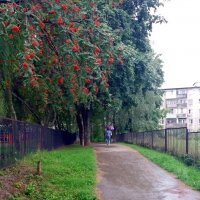 Когда на улице дождь :: Galina Solovova