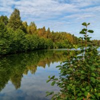 Цвет осени 8 :: Андрей Дворников