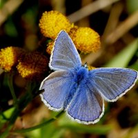 Из сегодняшней съёмки 5 :: Александр Прокудин