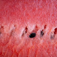 Арбуз макро :: Александр Синдерёв