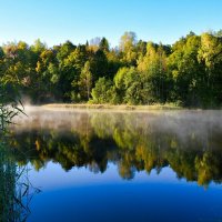 Осеннее утро на озере. :: Милешкин Владимир Алексеевич 